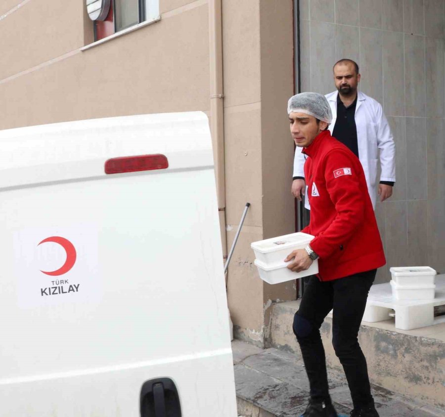 Kayü Bağışçılardan Temin Ettiği Sütü Peynir Yaparak Depremzedelere Gönderdi