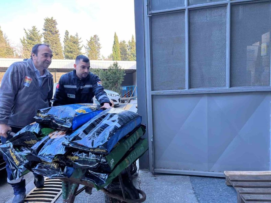 Zeytinburnu Belediyesi, “patili Dostları” Unutmadı