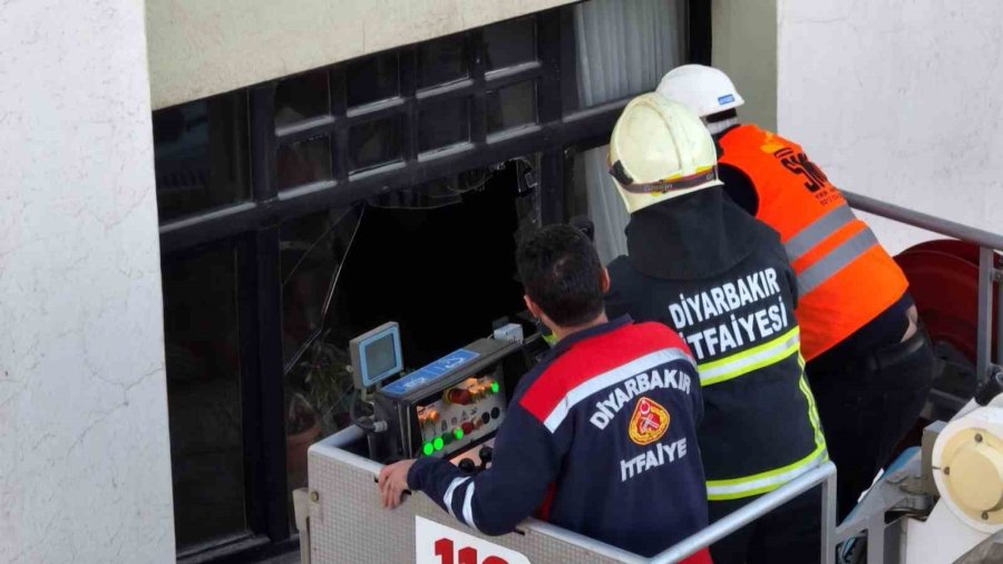 Galeria Sitesinde Mahsur Kalan Hayvanlara İlişkin Açıklama