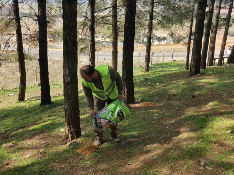 Tarım Ve Orman Bakanlığı, Deprem Bölgesindeki Can Dostların Yardımına Koşuyor