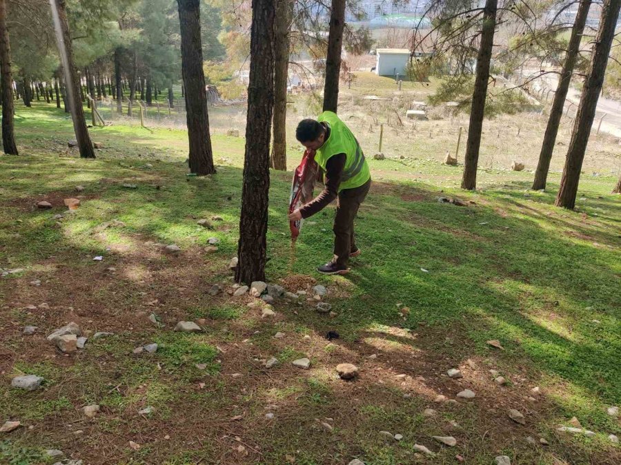 Tarım Ve Orman Bakanlığı, Deprem Bölgesindeki Can Dostların Yardımına Koşuyor