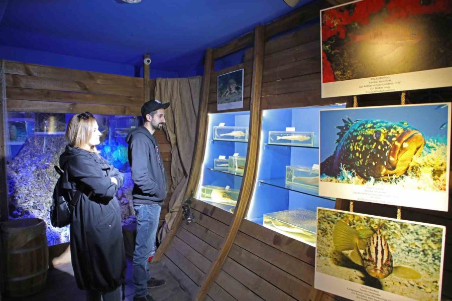 Deniz Biyoloji Müzesi’ndeki Balıklar Yenilenecek