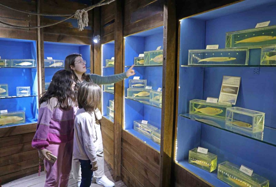 Deniz Biyoloji Müzesi’ndeki Balıklar Yenilenecek