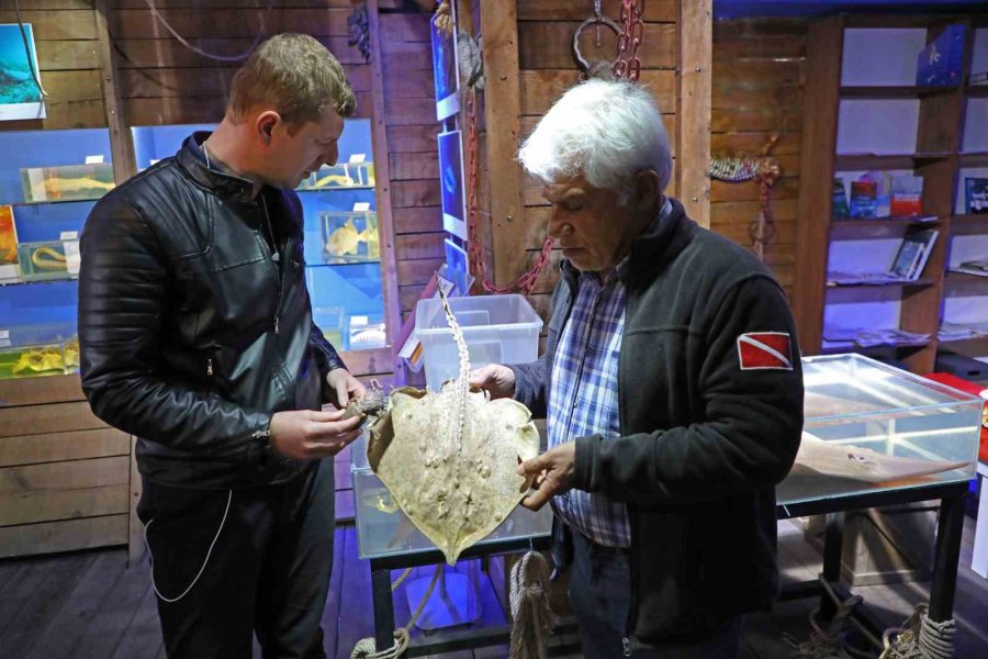 Deniz Biyoloji Müzesi’ndeki Balıklar Yenilenecek