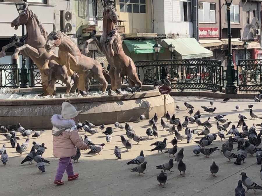 7’den 70’e Hayvan Sevgisi