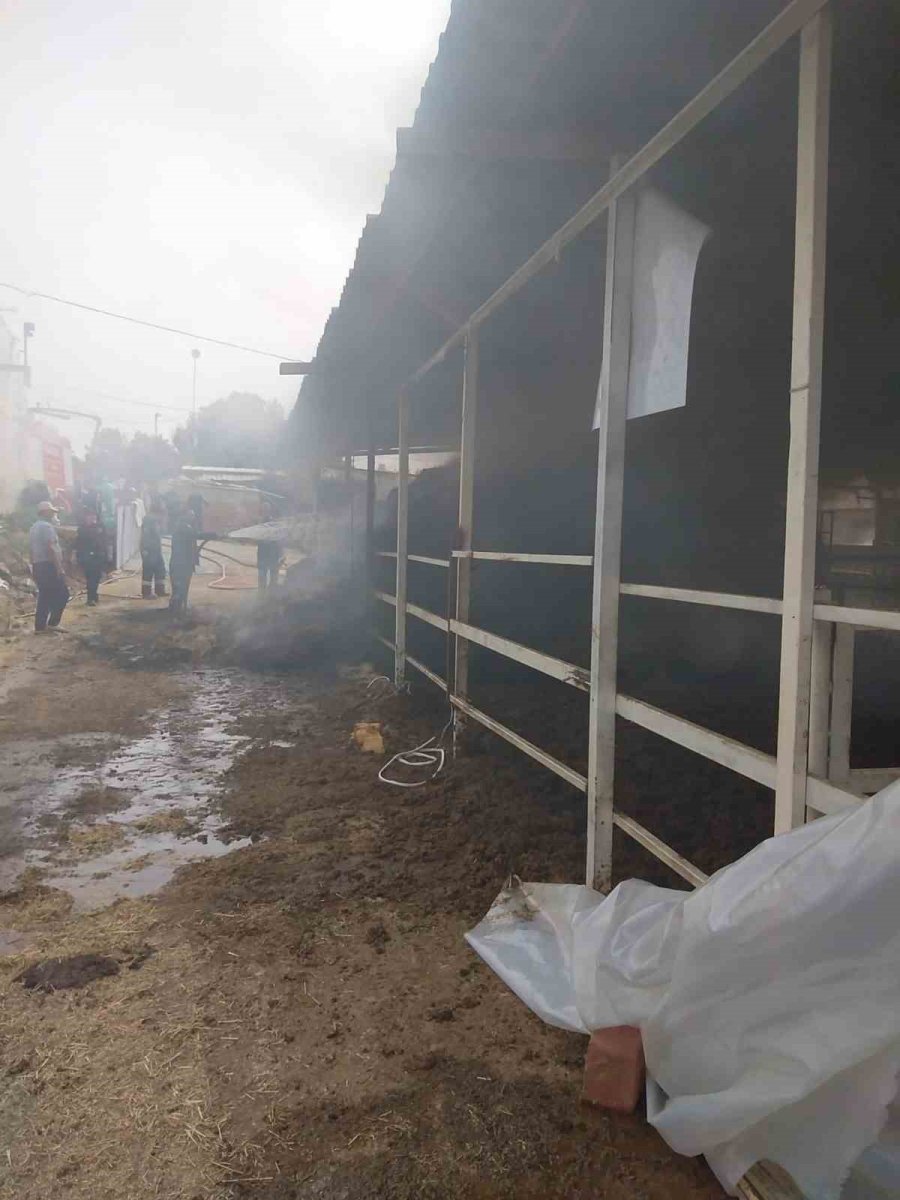 Çıkan Yangında Hayvanların Barınakları Ve Yiyecekleri Kül Oldu