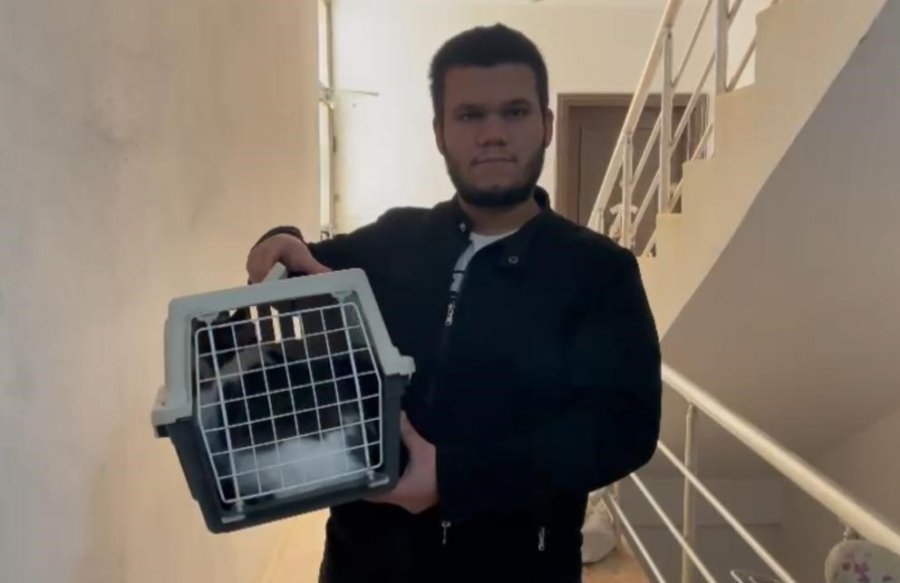 10 Bin Tl Ödülle Aradığı Kedisini, Rüyasına Girdiği Yerde Buldu