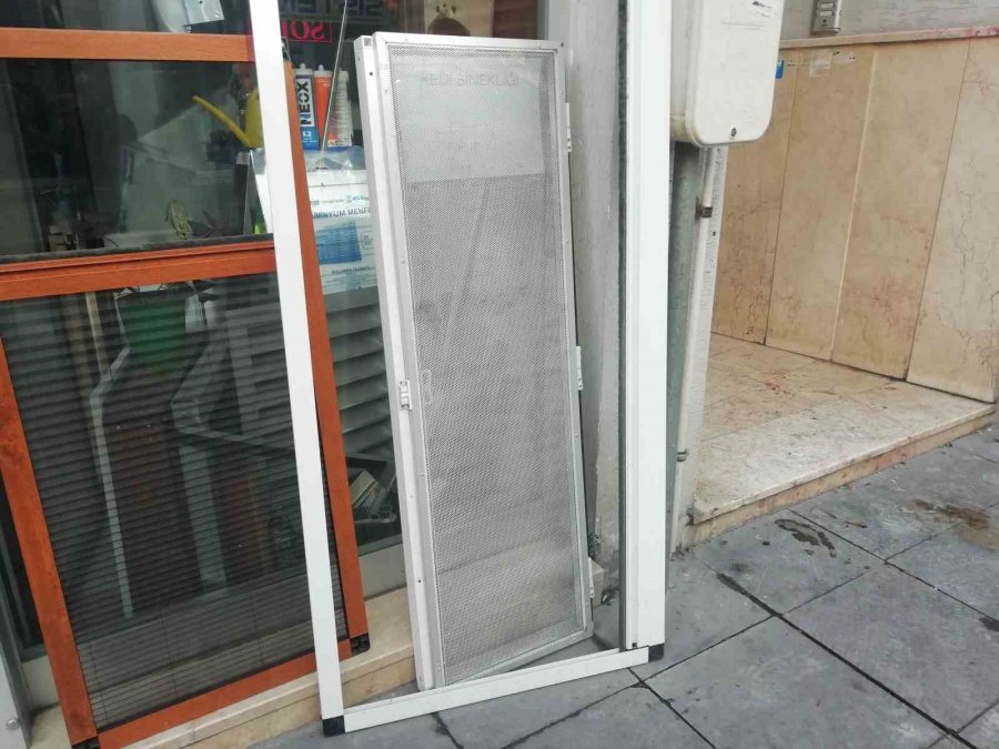 Kediler Camdan Düşmesinler Diye Alüminyumdan Sineklik Üretti