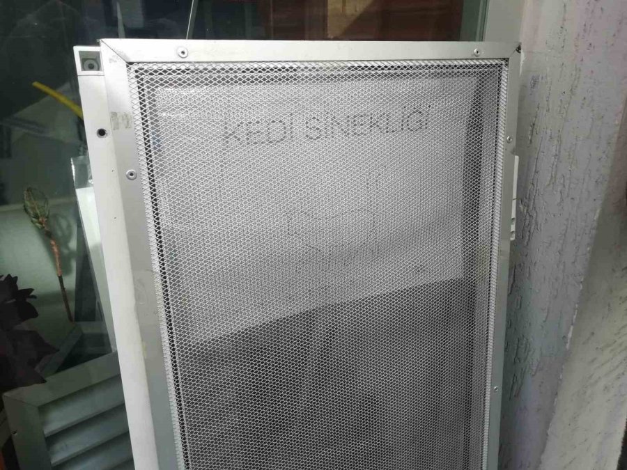 Kediler Camdan Düşmesinler Diye Alüminyumdan Sineklik Üretti