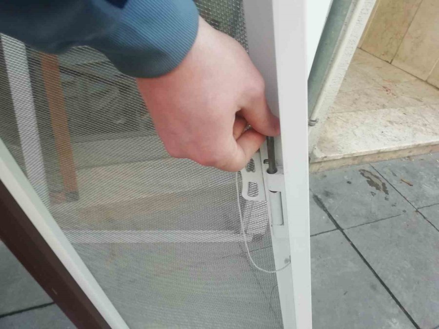 Kediler Camdan Düşmesinler Diye Alüminyumdan Sineklik Üretti