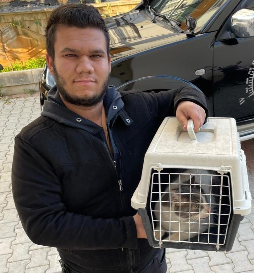 10 Bin Tl Ödülle Aradığı Kedisini, Rüyasına Girdiği Yerde Buldu