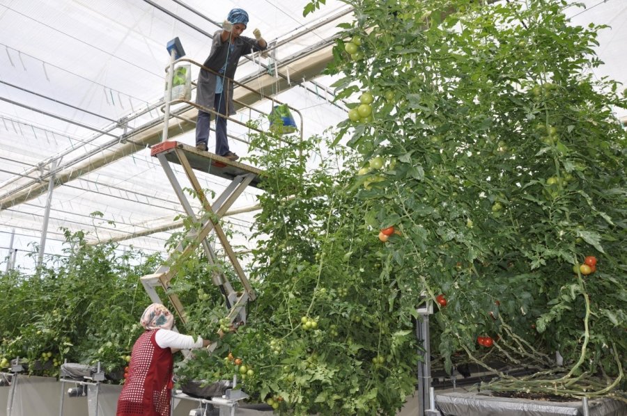 Uzman Ellere 250 Bin Tl Hibe Desteği