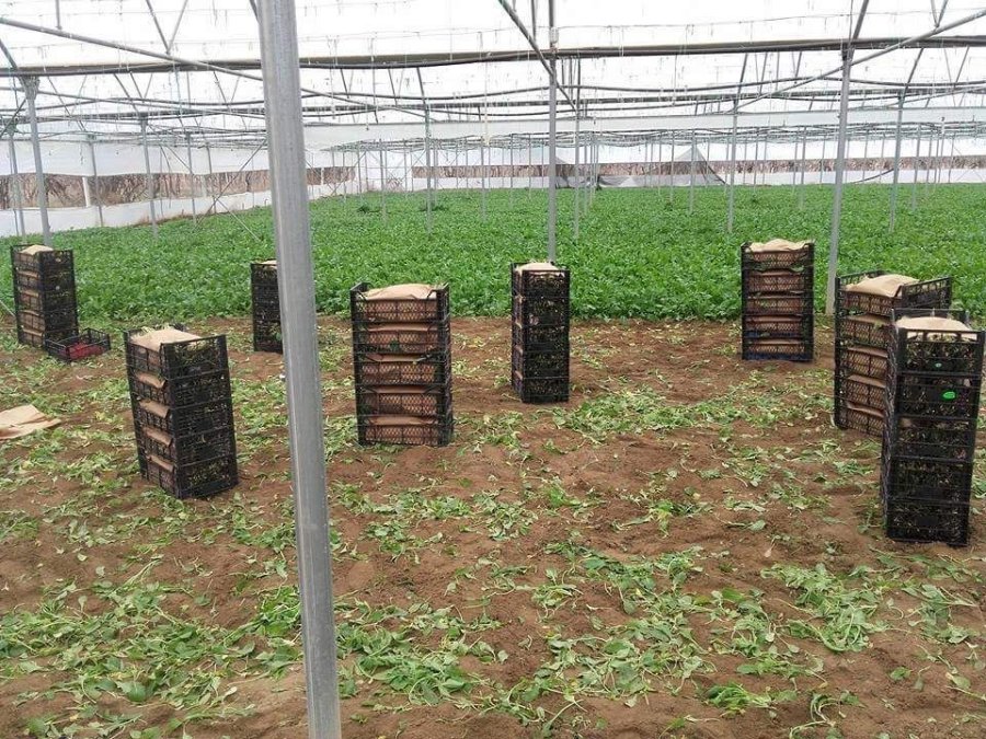 Uzman Ellere 250 Bin Tl Hibe Desteği