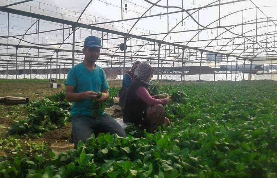 Uzman Ellere 250 Bin Tl Hibe Desteği