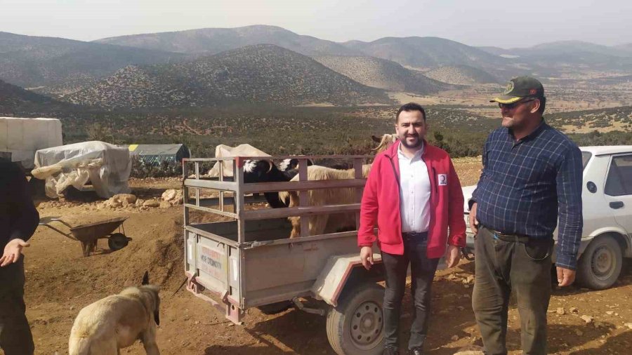 Antalya’da Çobanlardan Kızılay’a 10 Küçükbaş Hayvan Bağışı