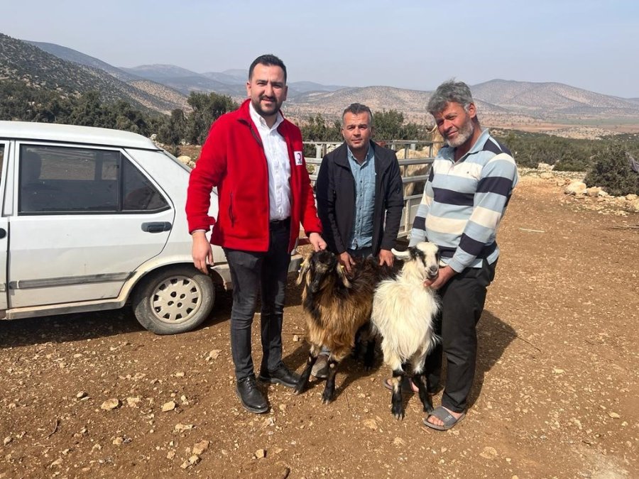 Antalya’da Çobanlardan Kızılay’a 10 Küçükbaş Hayvan Bağışı