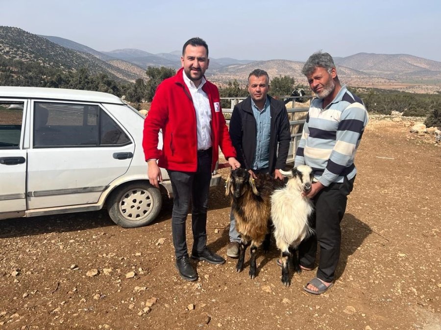 Antalya’da Çobanlardan Kızılay’a 10 Küçükbaş Hayvan Bağışı