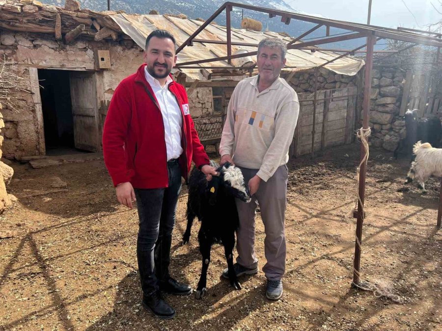 Antalya’da Çobanlardan Kızılay’a 10 Küçükbaş Hayvan Bağışı