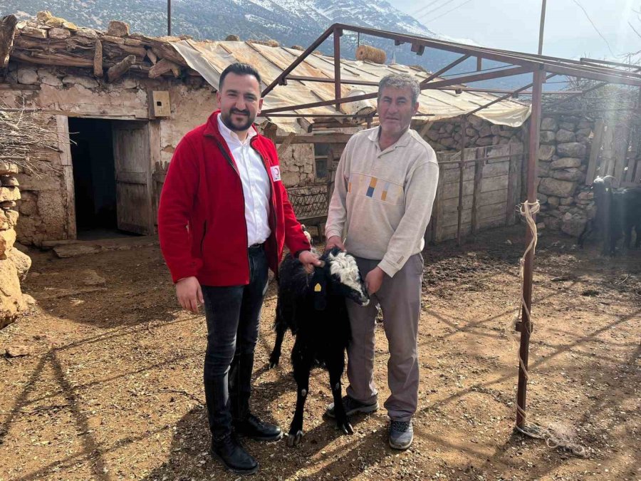 Antalya’da Çobanlardan Kızılay’a 10 Küçükbaş Hayvan Bağışı