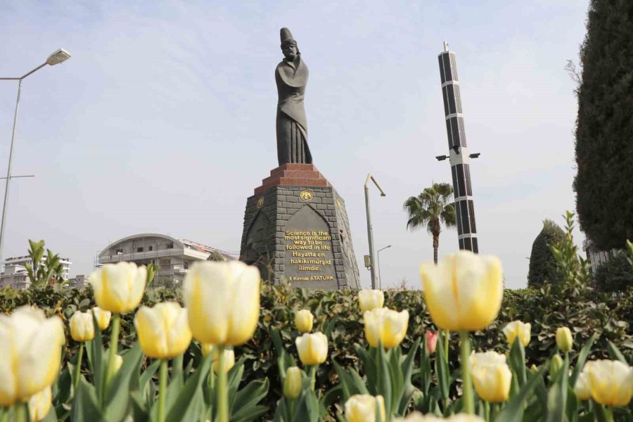 Alanya Lale, Sümbül Ve Nergislerle Renklendi