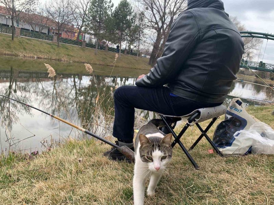 Onlar Balıkçıları, Balıkçılar Da Oltayı Bekliyor