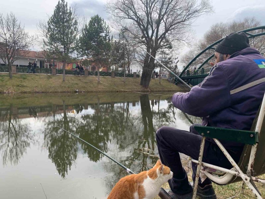 Onlar Balıkçıları, Balıkçılar Da Oltayı Bekliyor
