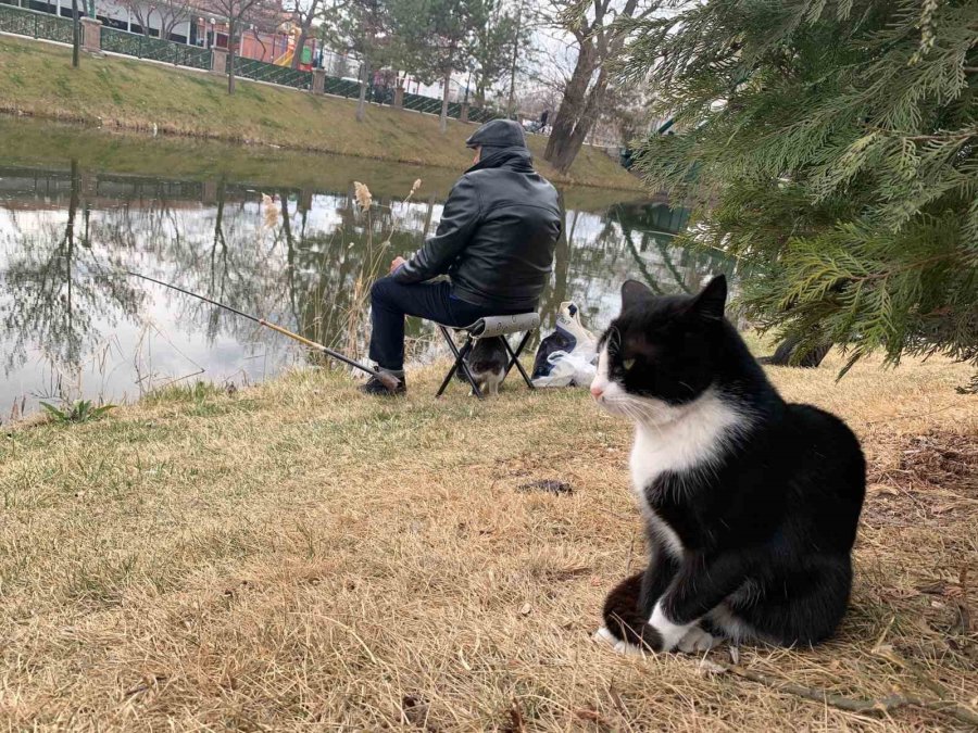 Onlar Balıkçıları, Balıkçılar Da Oltayı Bekliyor
