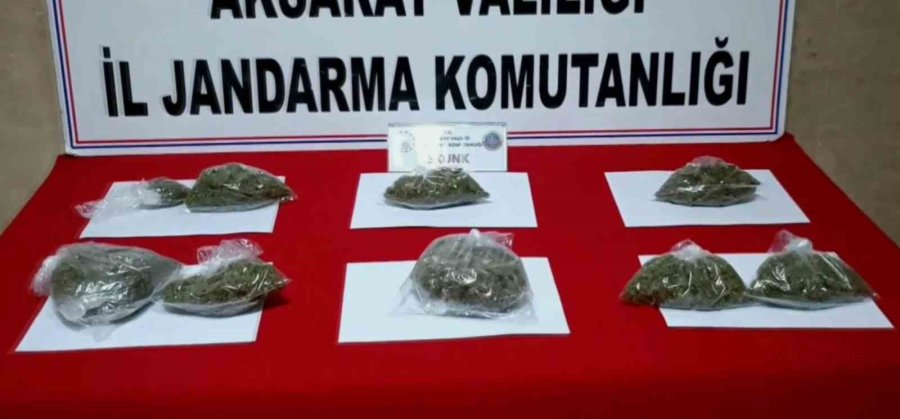 Uyuşturucu Kuryesi Karı Koca Jandarmanın Operasyonuyla Yakalandı