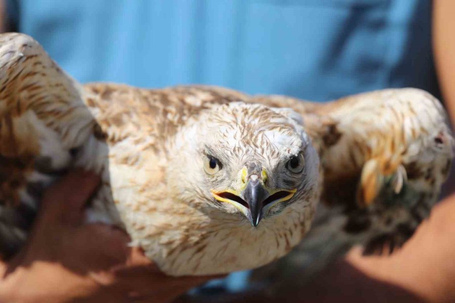 Büyükşehir’den Depremzedelere Moral Gezisi