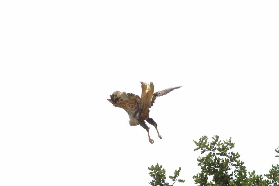 Büyükşehir’den Depremzedelere Moral Gezisi