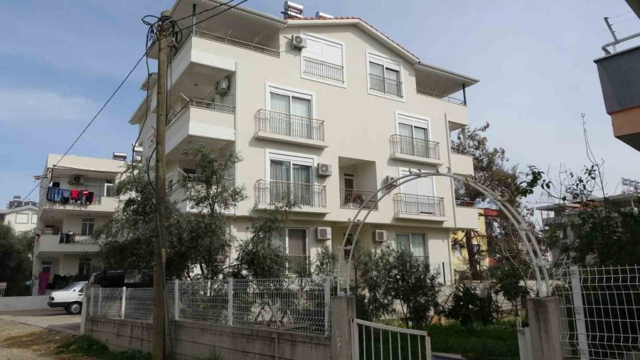 Manavgat’ta Çam Kese Böceği İstilası