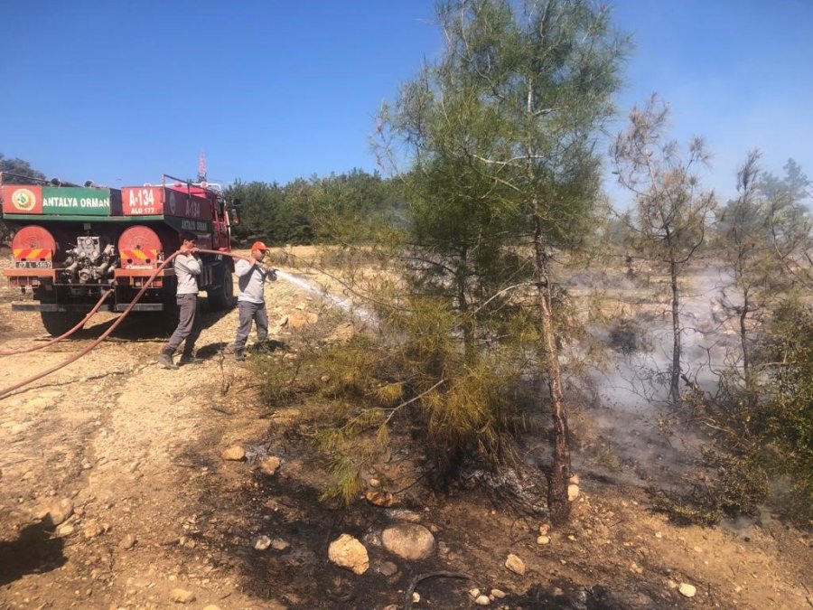 Yangın Personeli İşbaşı Eğitiminde İken Gelen Yangın İhbarı, Ekipleri Harekete Geçirdi