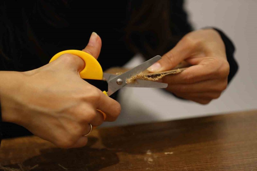 İnovasyon Merkezinde 8 Mart’a Özel Eğitim