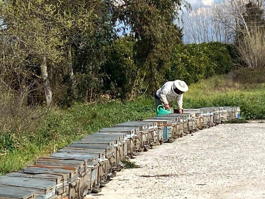 Arıcıların Kışlama Mesaisi Başladı