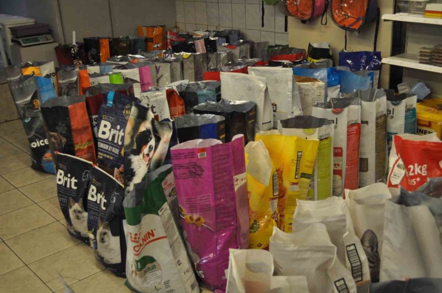 Kedi Besleyenlerin Ucuz Mamalara Talebi Arttı