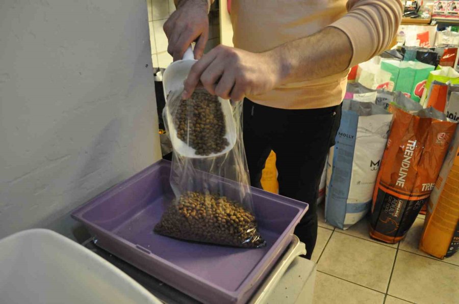 Kedi Besleyenlerin Ucuz Mamalara Talebi Arttı