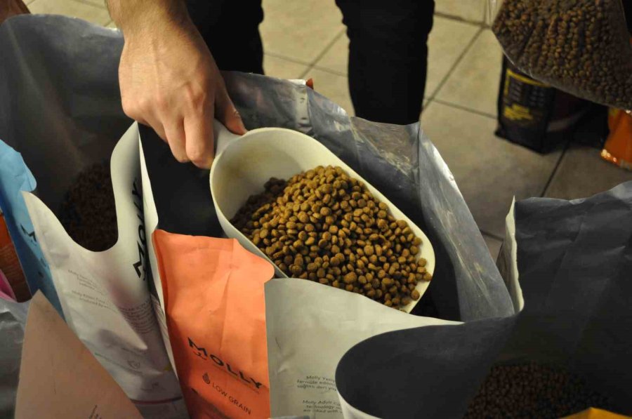 Kedi Besleyenlerin Ucuz Mamalara Talebi Arttı