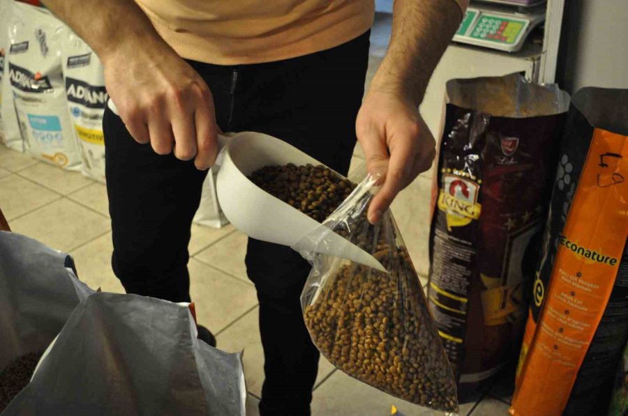 Kedi Besleyenlerin Ucuz Mamalara Talebi Arttı