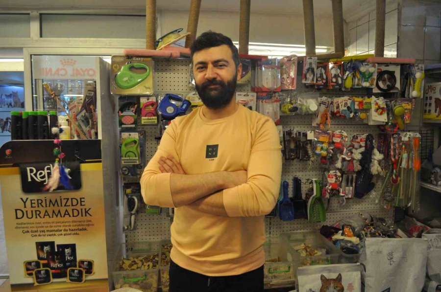 Kedi Besleyenlerin Ucuz Mamalara Talebi Arttı