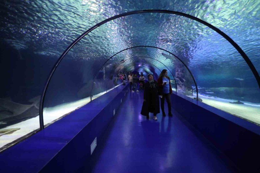 Depremzede Vatandaşlara Moral Gezisi