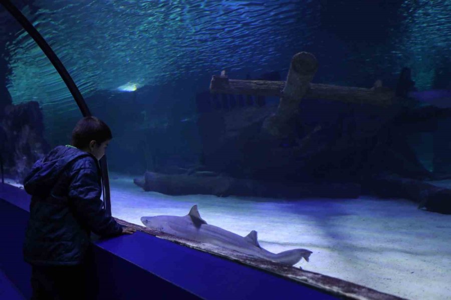 Depremzede Vatandaşlara Moral Gezisi