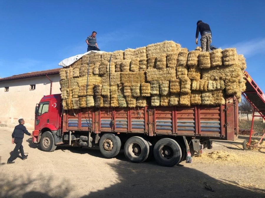 Eskişehir Çiftçisi Depremzede Kardeşlerini Unutmadı