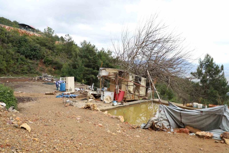 Alanya’da Hazine Arazisini İşgal Eden Baraka Boşaltıldı