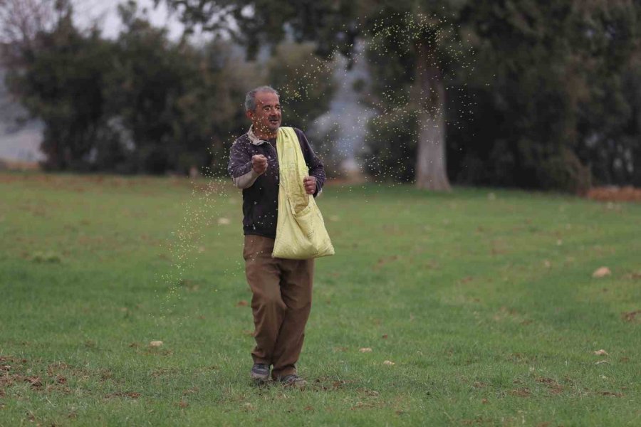 Ata Tohumu Desteği İle Ekilemeyen Alanlar Tarıma Kazandırılıyor