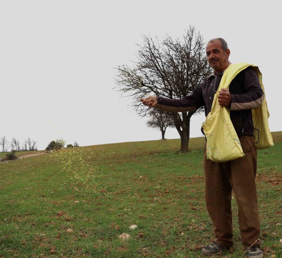 Ata Tohumu Desteği İle Ekilemeyen Alanlar Tarıma Kazandırılıyor