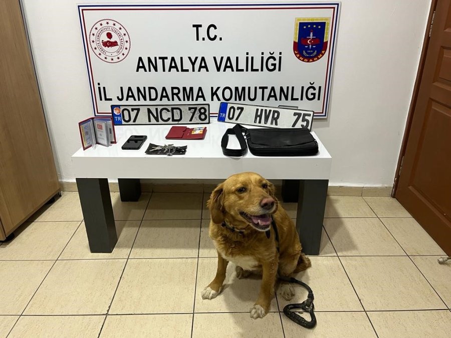 Antalya’da Aranan 220 Firari Yakalandı