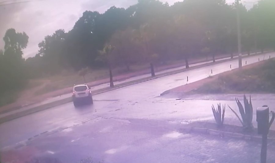 Otomobil Palmiyeye Çarptı, Sürücü Yaralandı