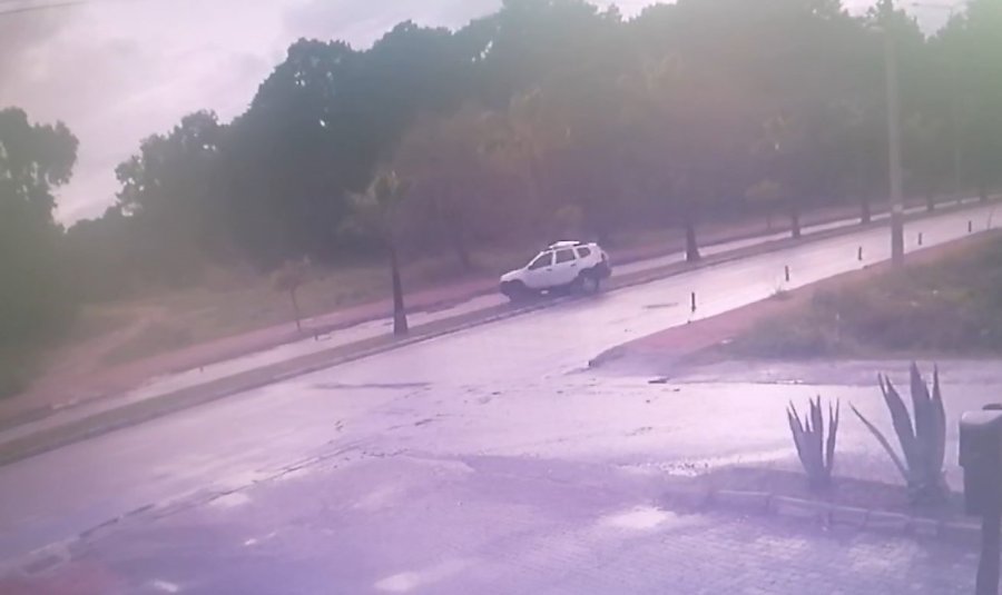 Otomobil Palmiyeye Çarptı, Sürücü Yaralandı