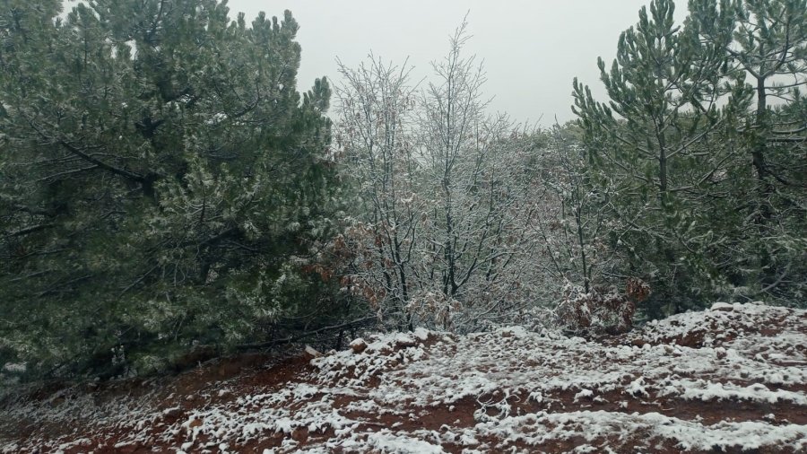 Beyaz Örtüyle Kaplanan Mahallede Kartpostallık Görüntüler Oluştu