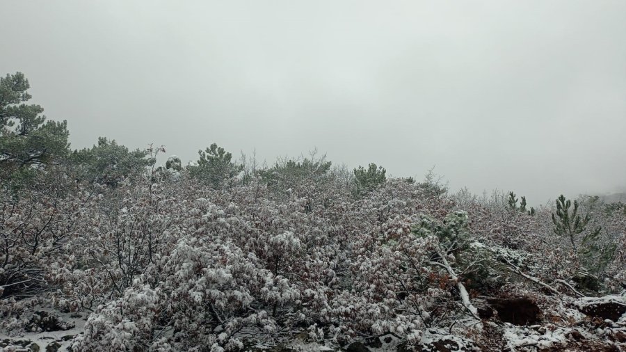 Beyaz Örtüyle Kaplanan Mahallede Kartpostallık Görüntüler Oluştu